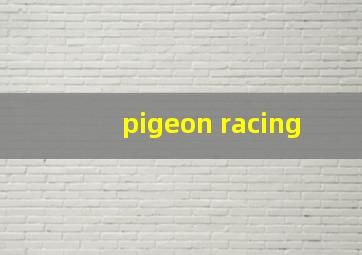 pigeon racing